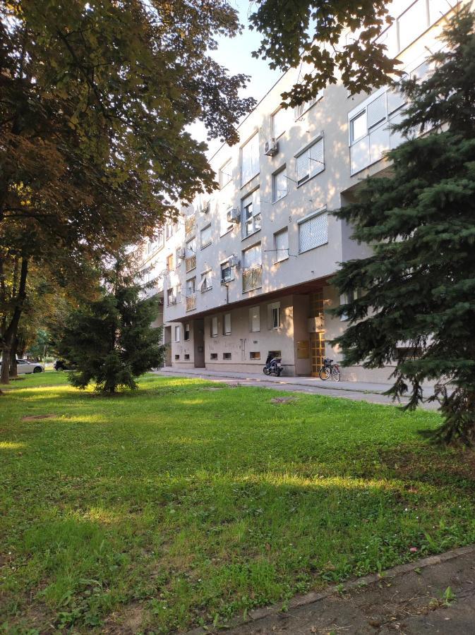 Teo Apartment